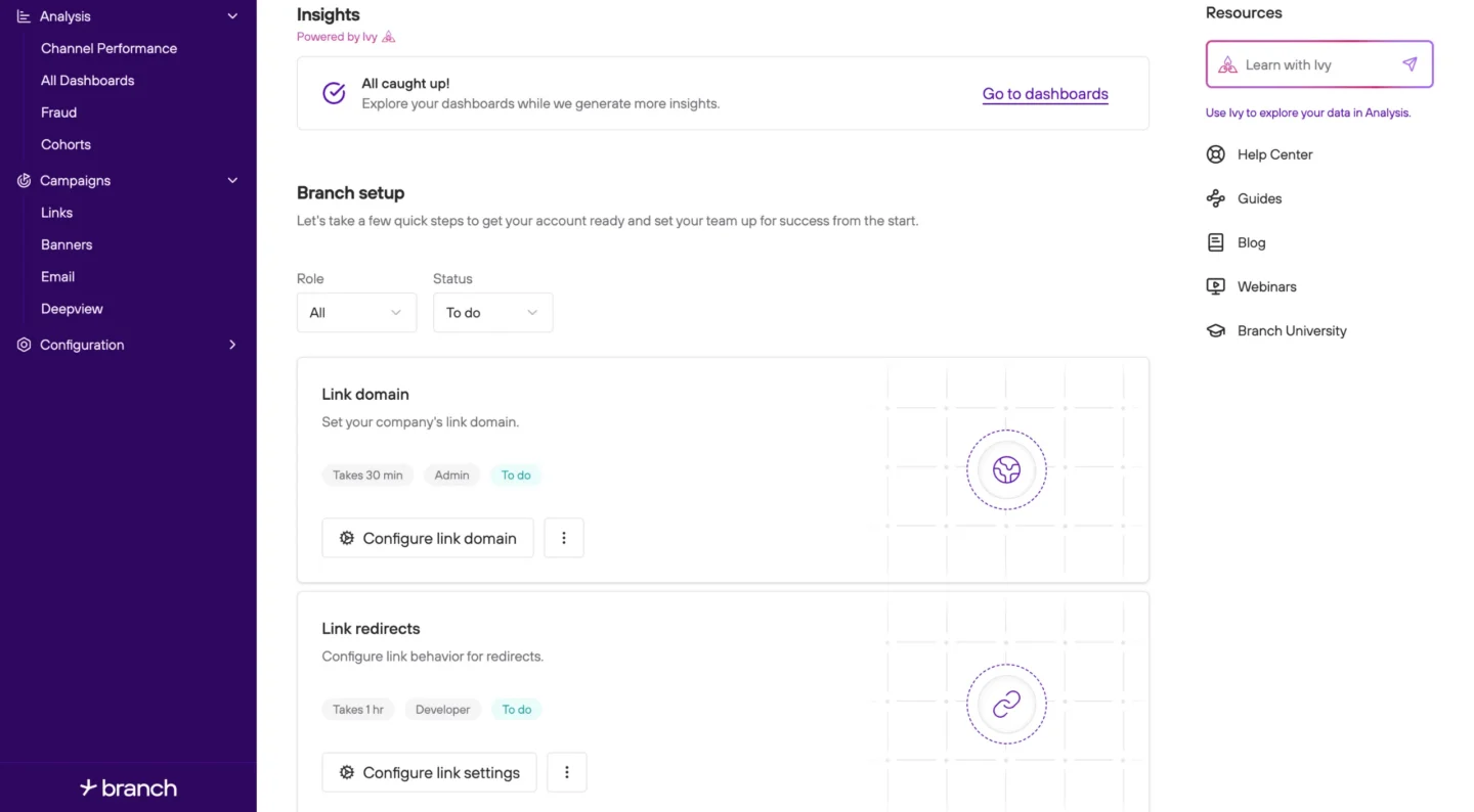 Preview of Storylane embed that provides a Branch product walkthrough.