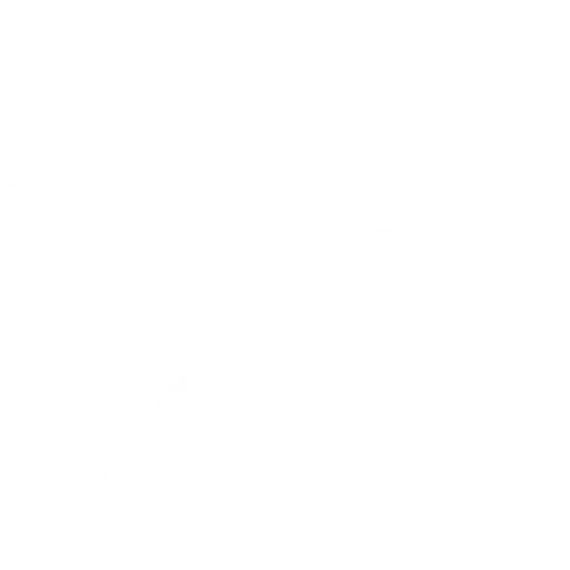 Branch Site icon